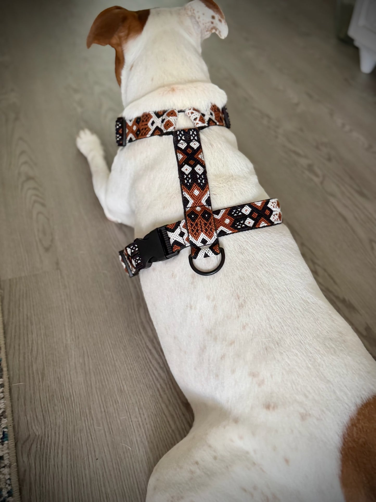 Auggie Harness