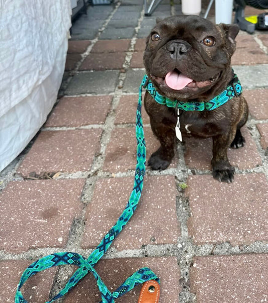 Riptide Leash
