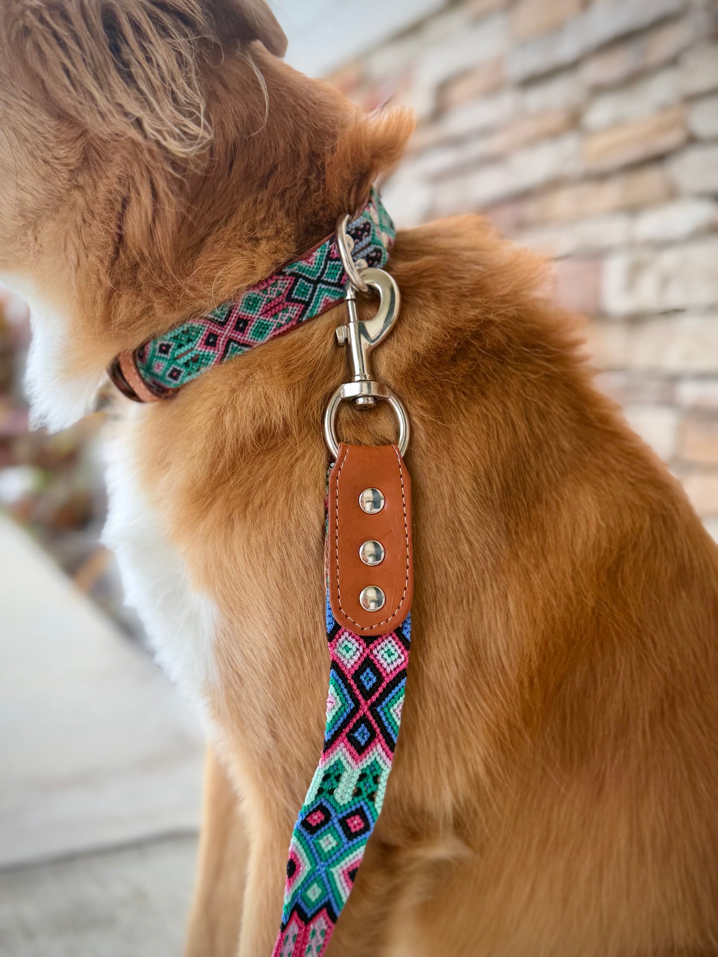 The Ritz Collar