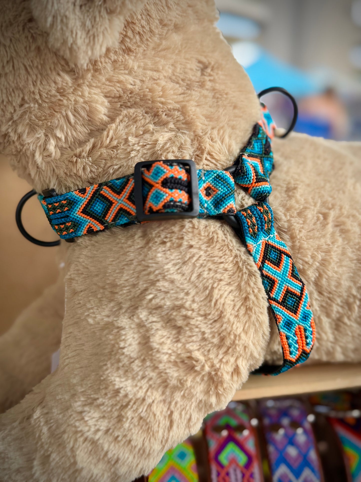Ziggy Harness
