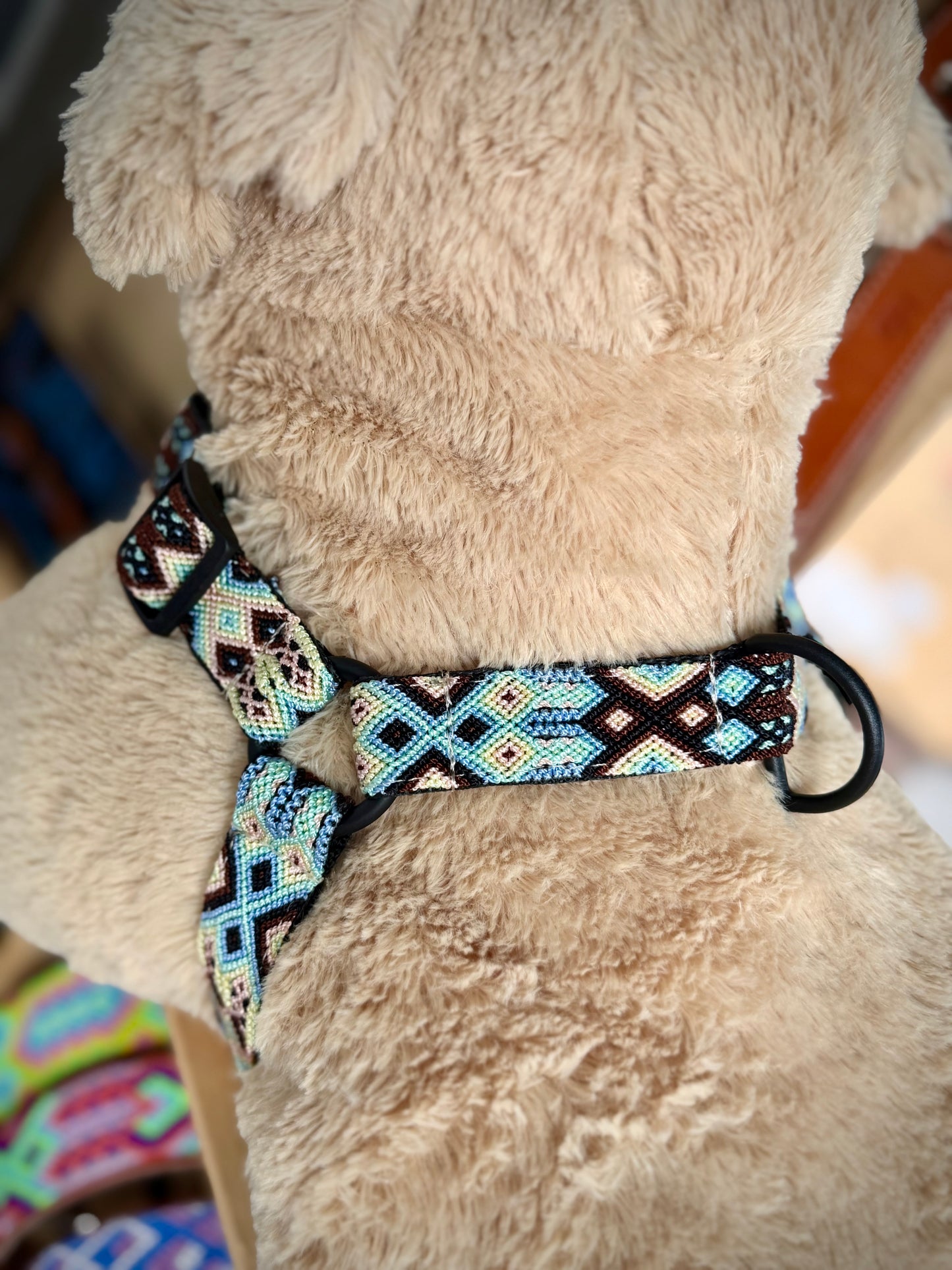 The Ray Harness