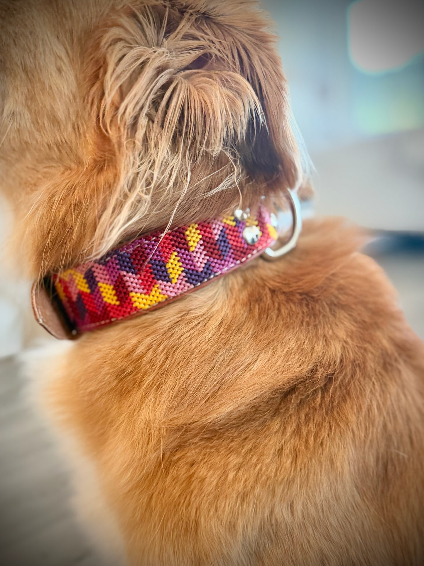The Sedona Collar