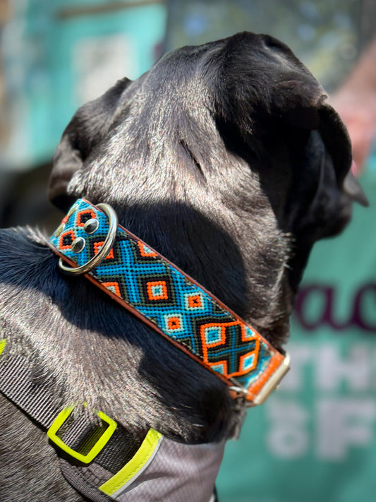 Ziggy Collar