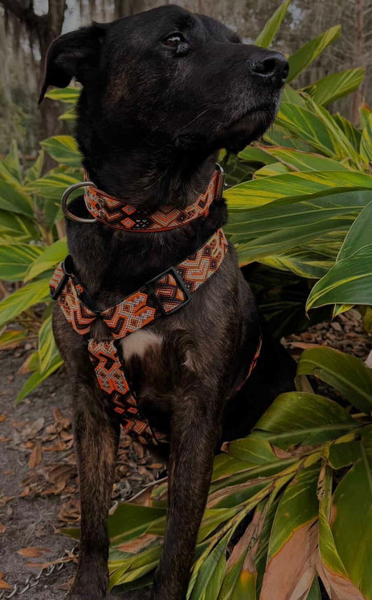 Camden Harness