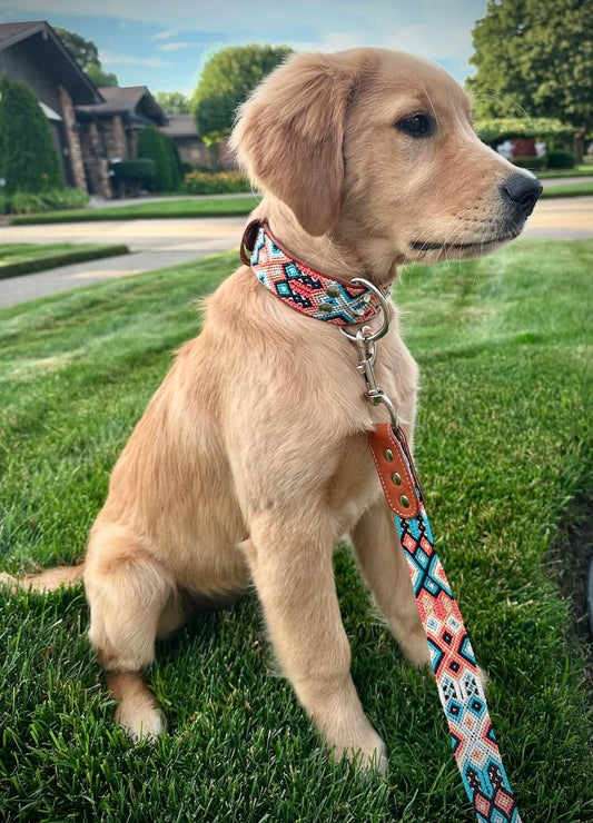 Duke Collar