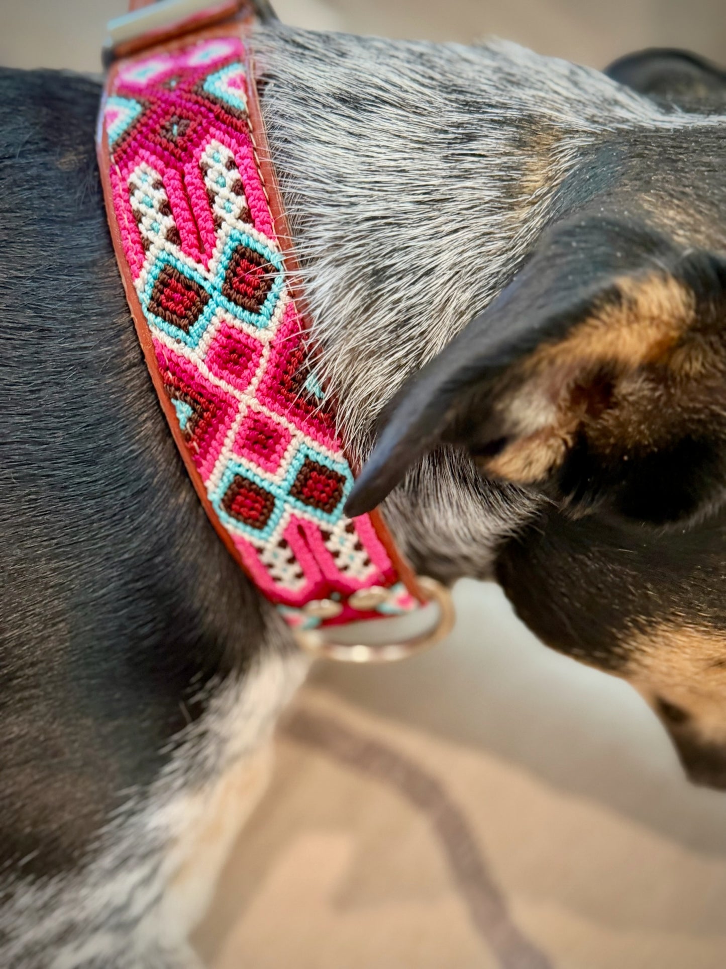 The Flora Collar