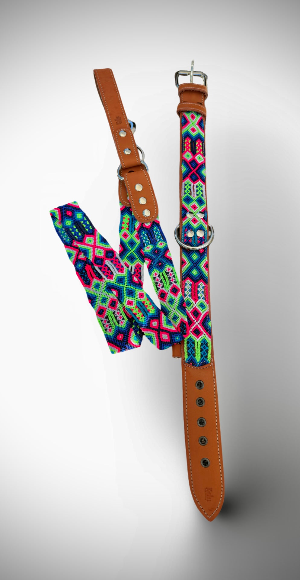 Neon Oasis Leash