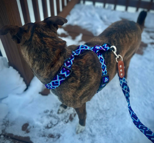 Lucy Harness