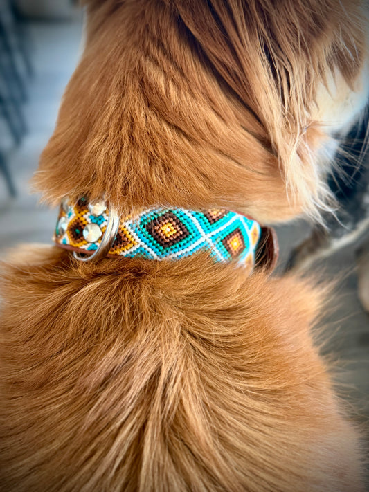 Bruin Collar