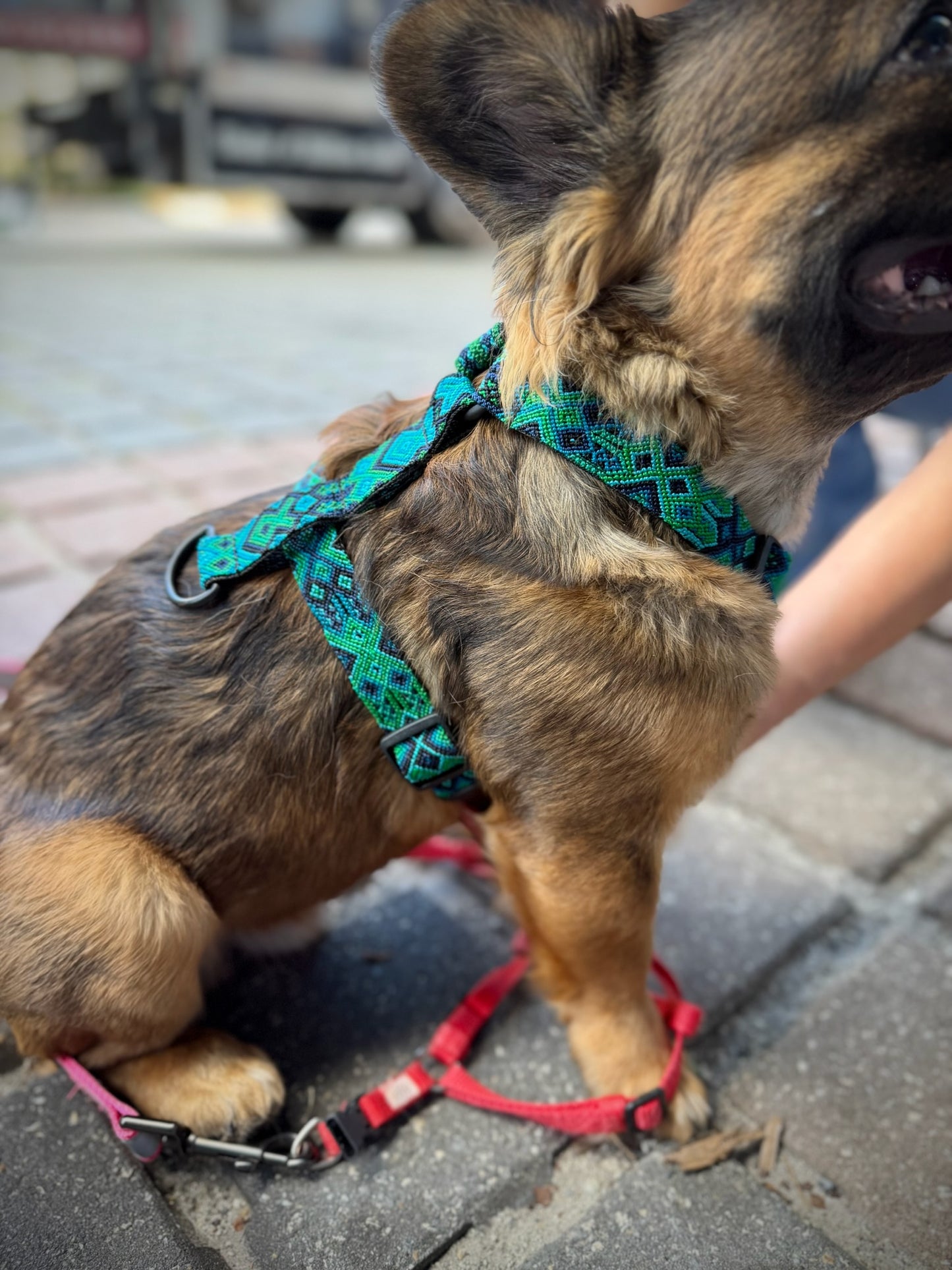 Riptide Harness