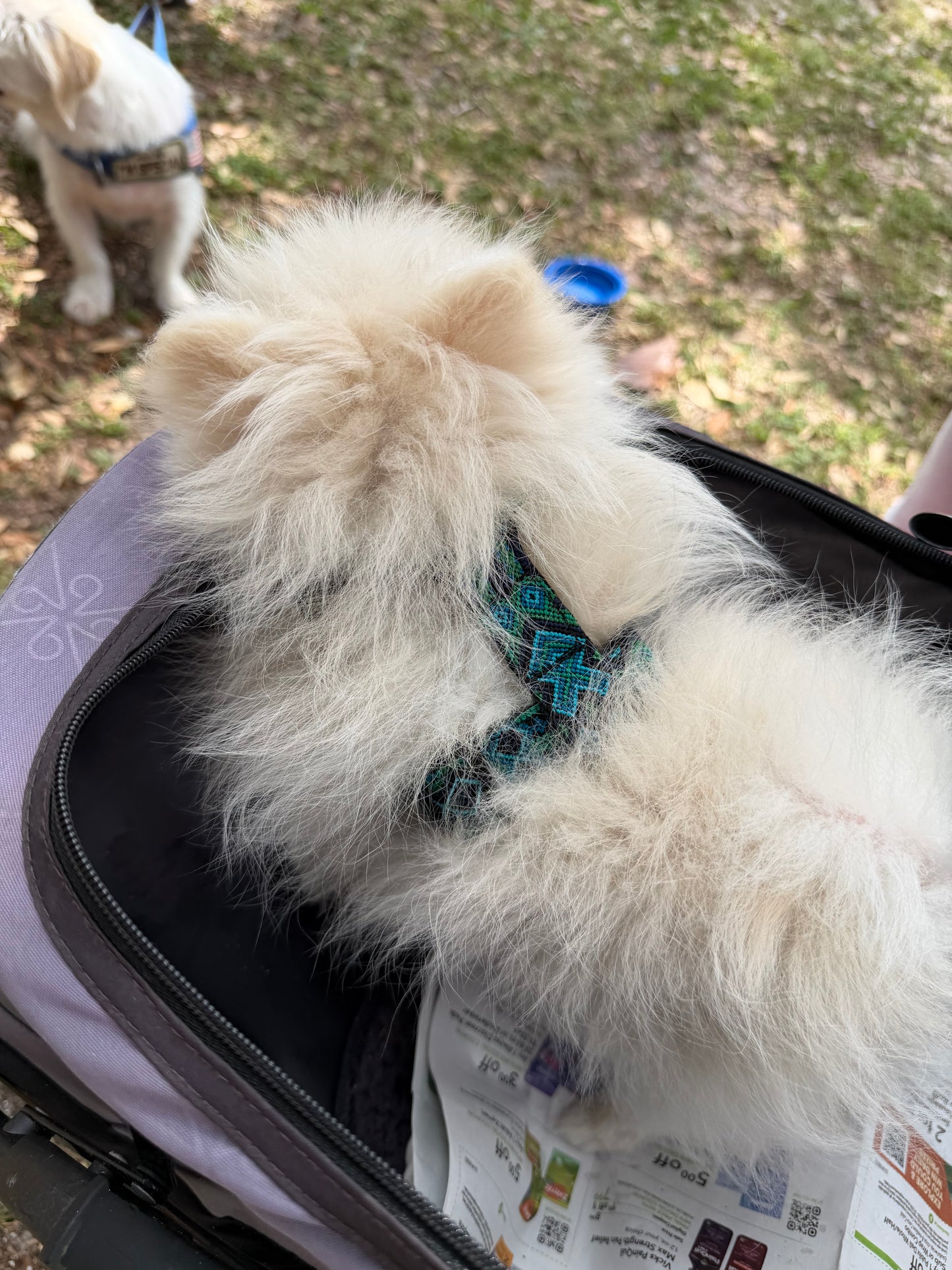 Riptide Harness