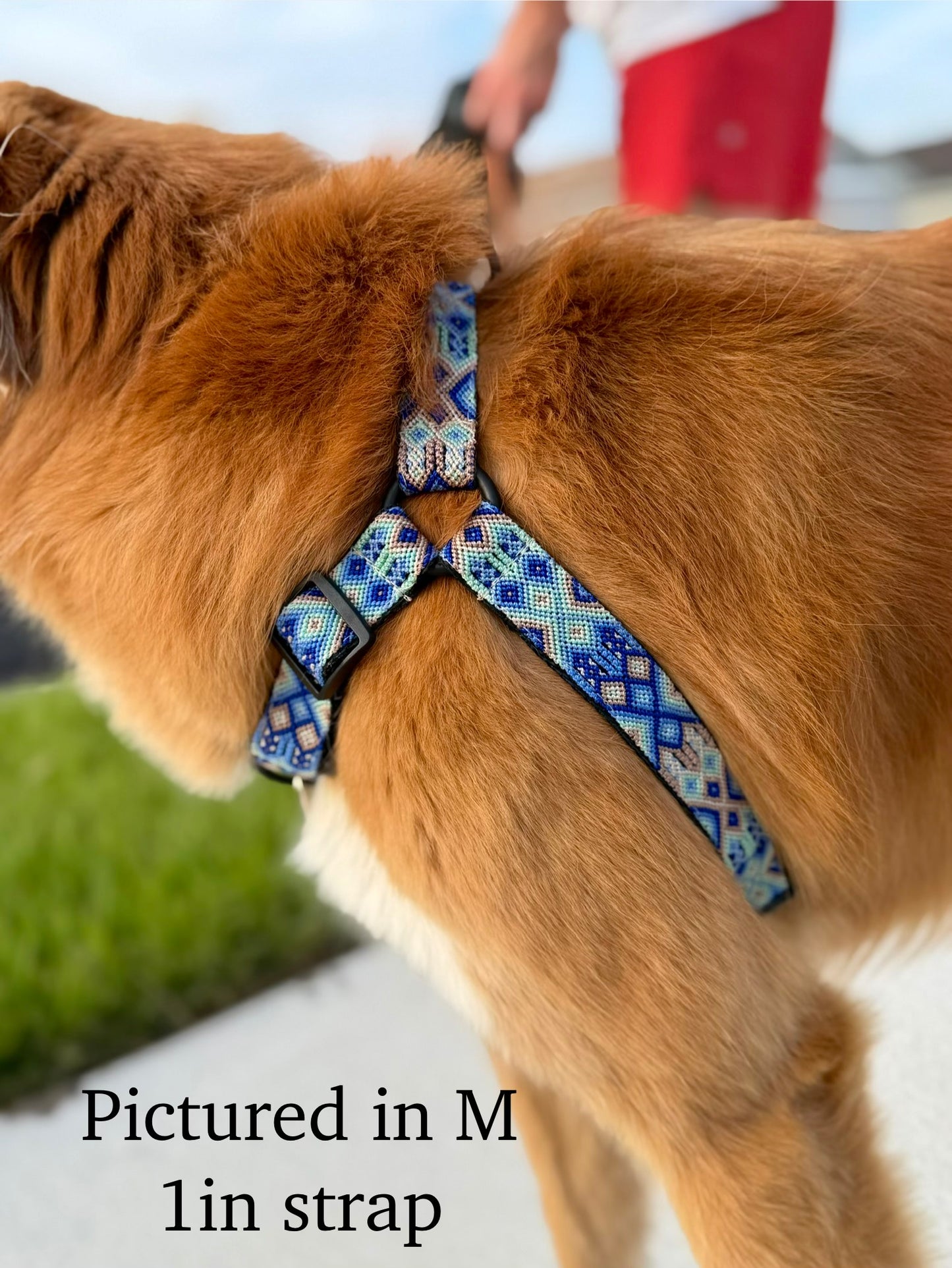 Positano Harness
