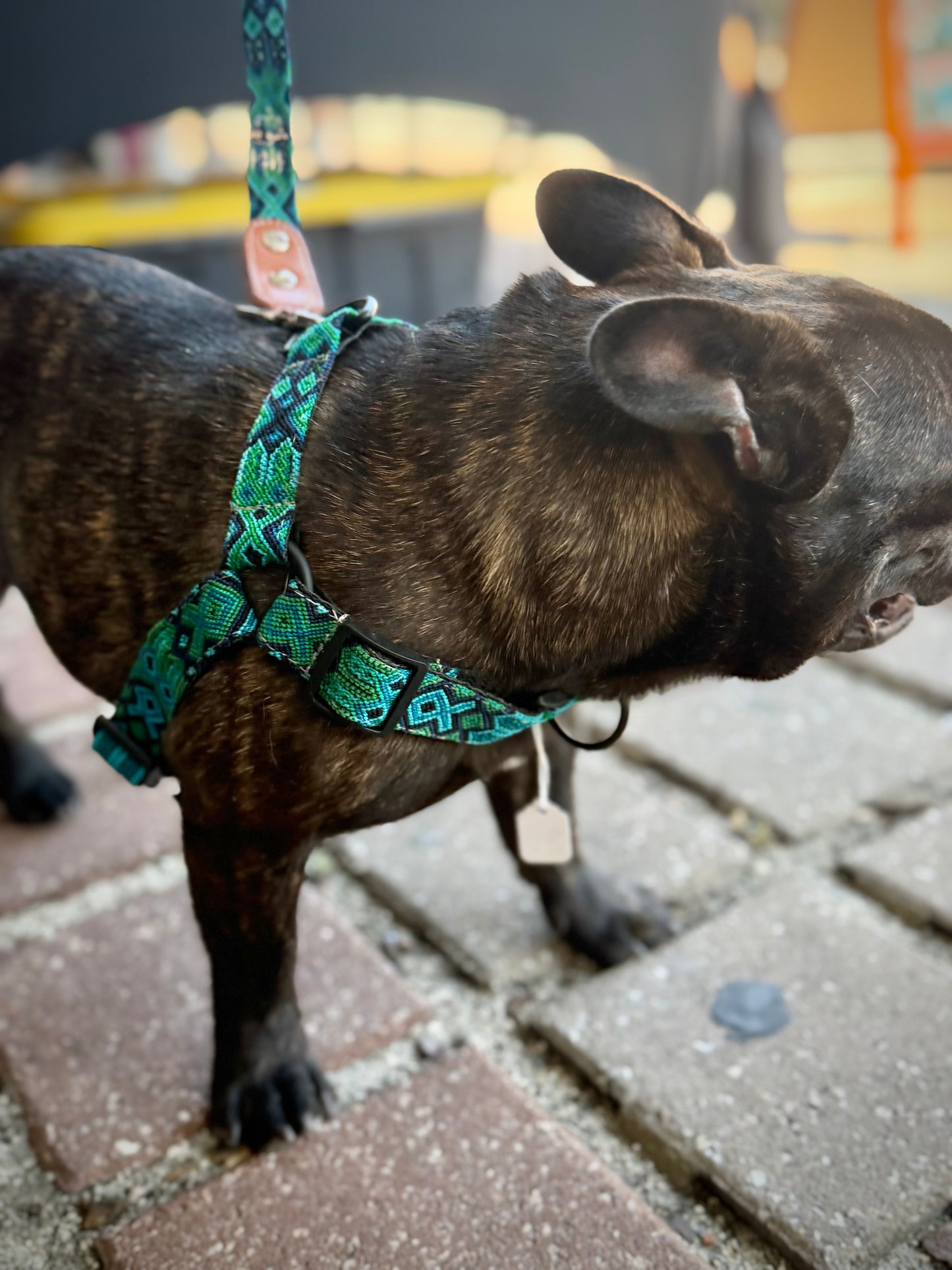 Riptide Harness