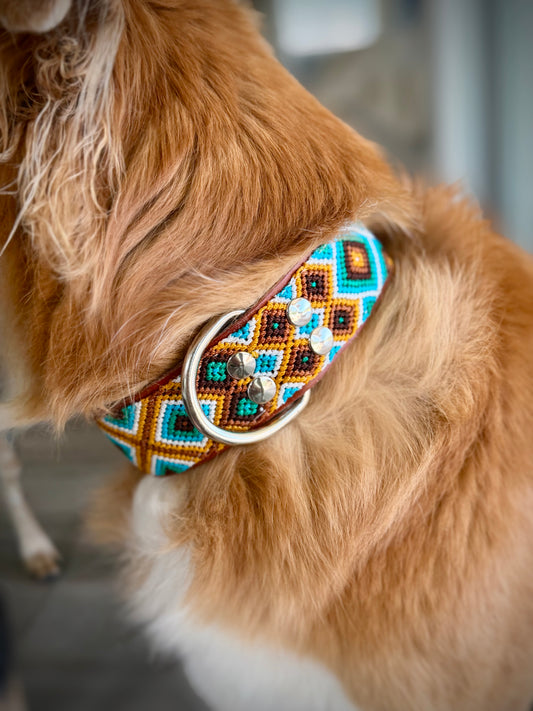 Bruin Collar