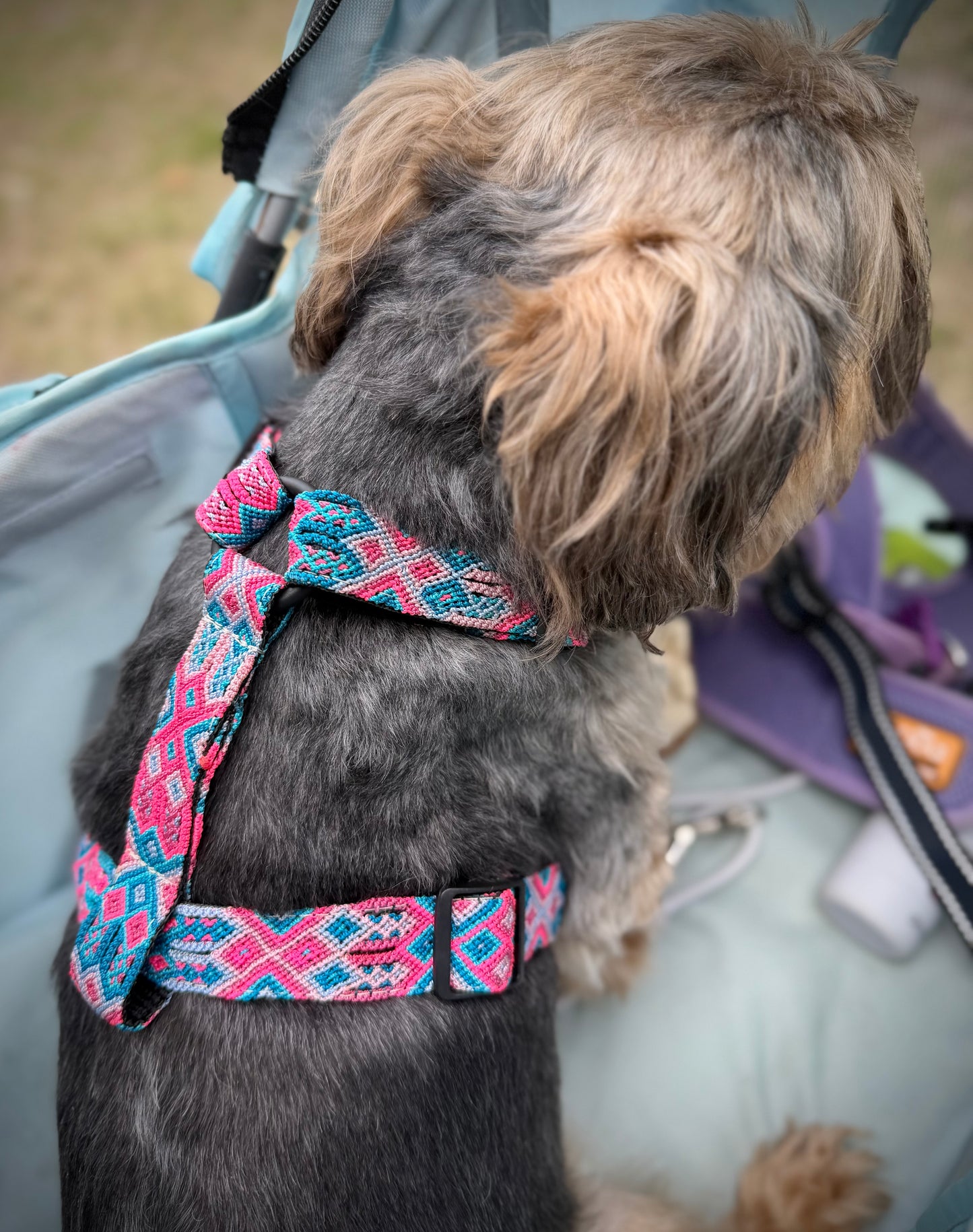 Pretty In Pink Harness