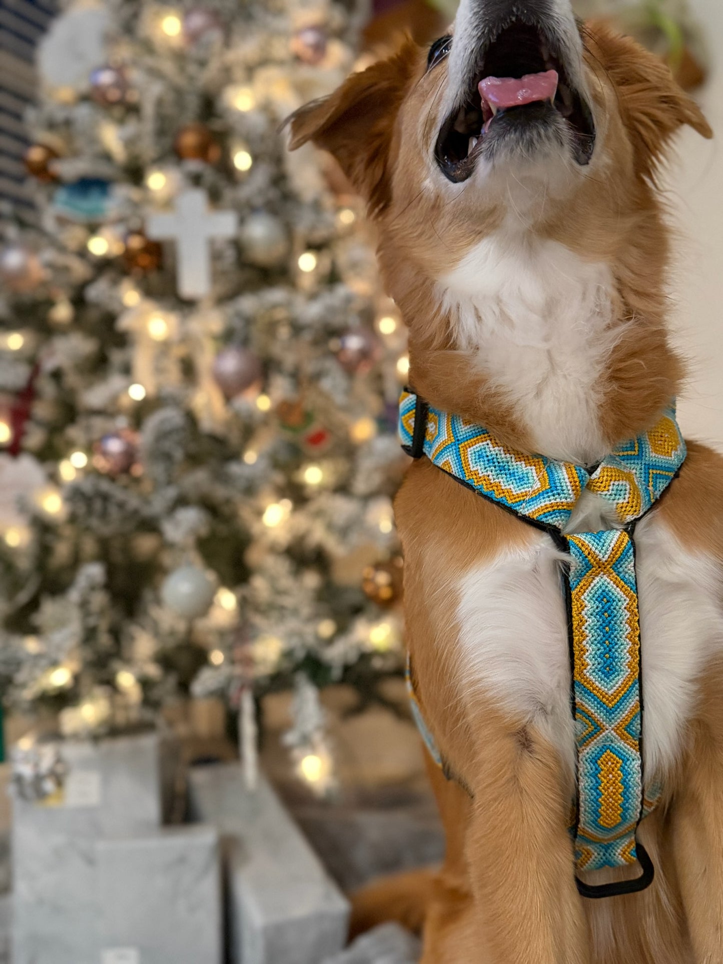 South Beach Harness