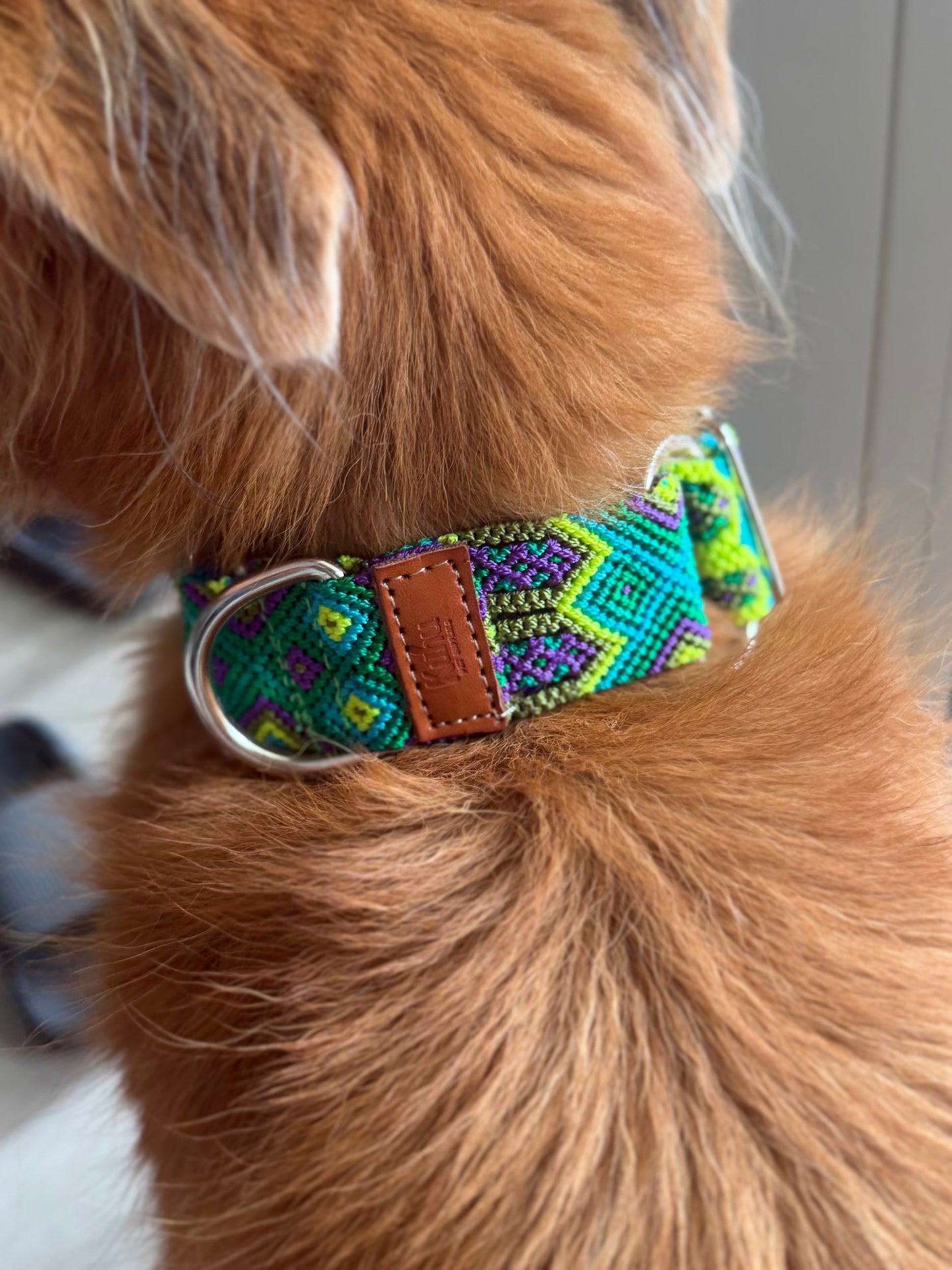 Lahaina Martingale Collar