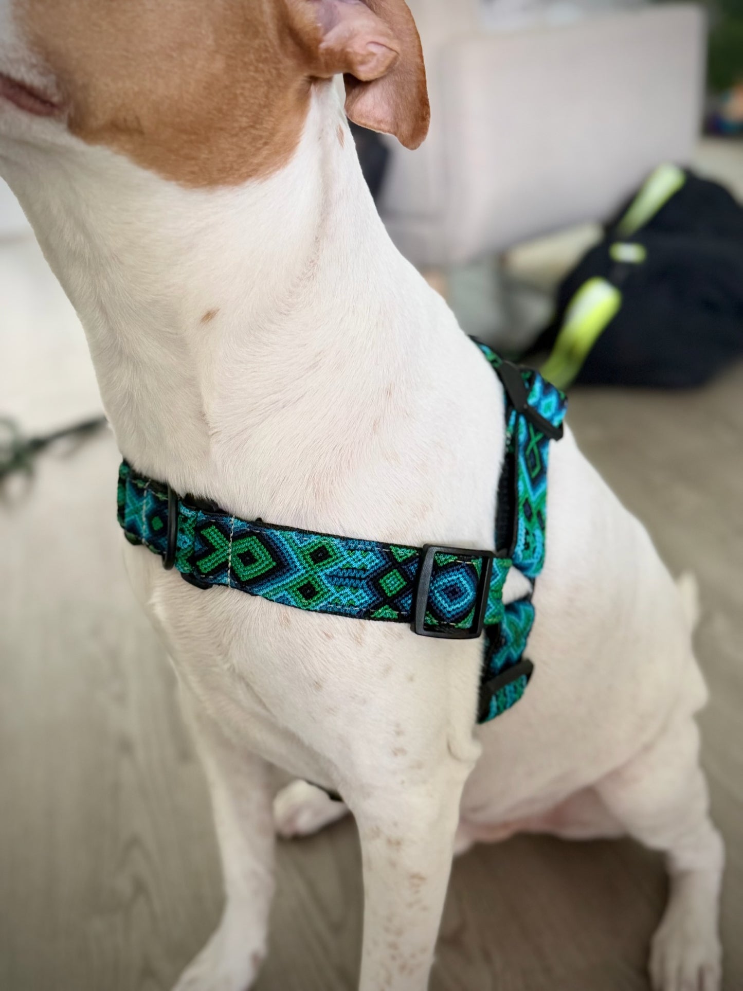 Riptide Harness
