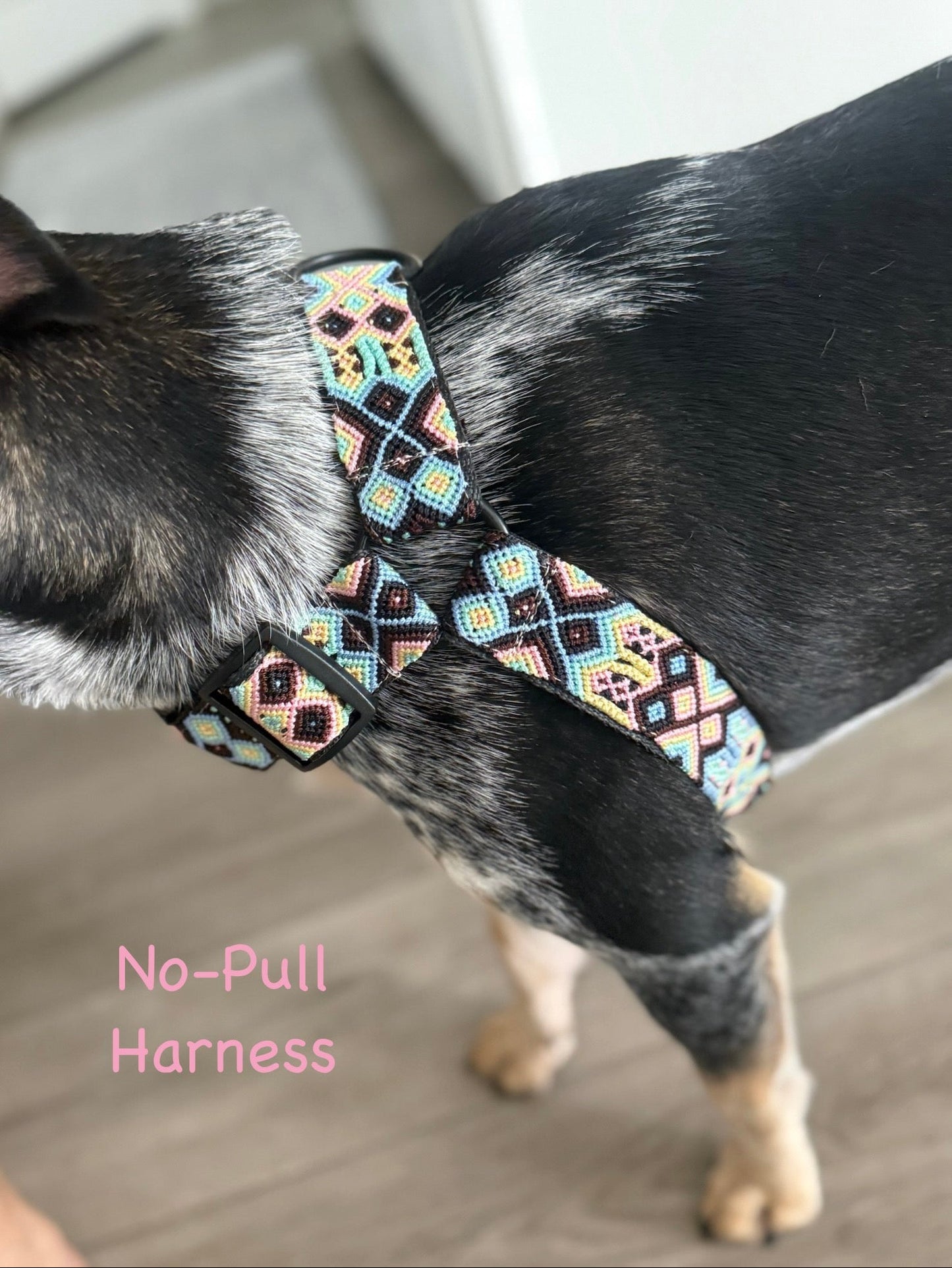 The Ray Harness