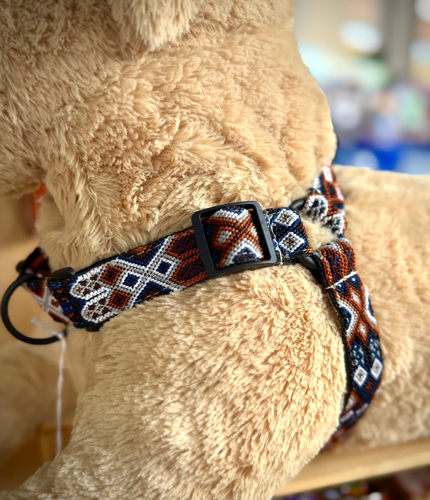 Marco Harness