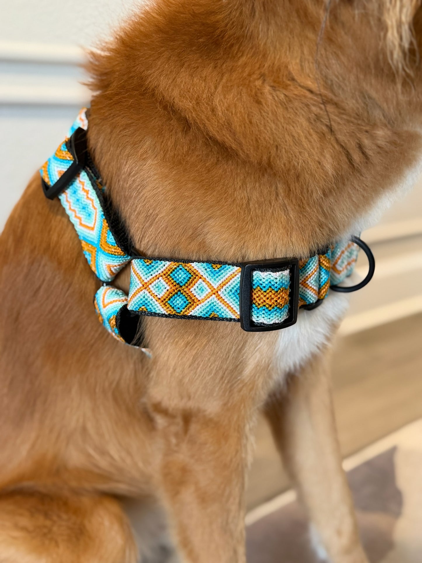 South Beach Harness