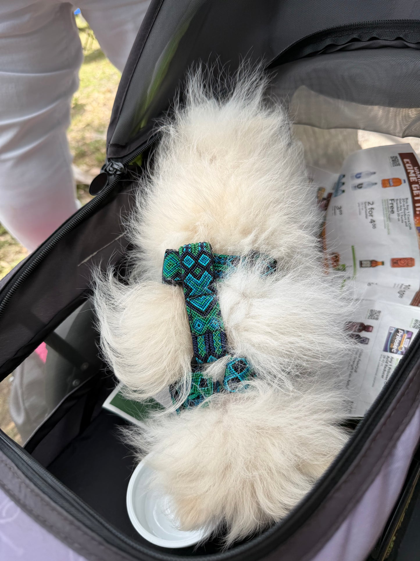 Riptide Harness