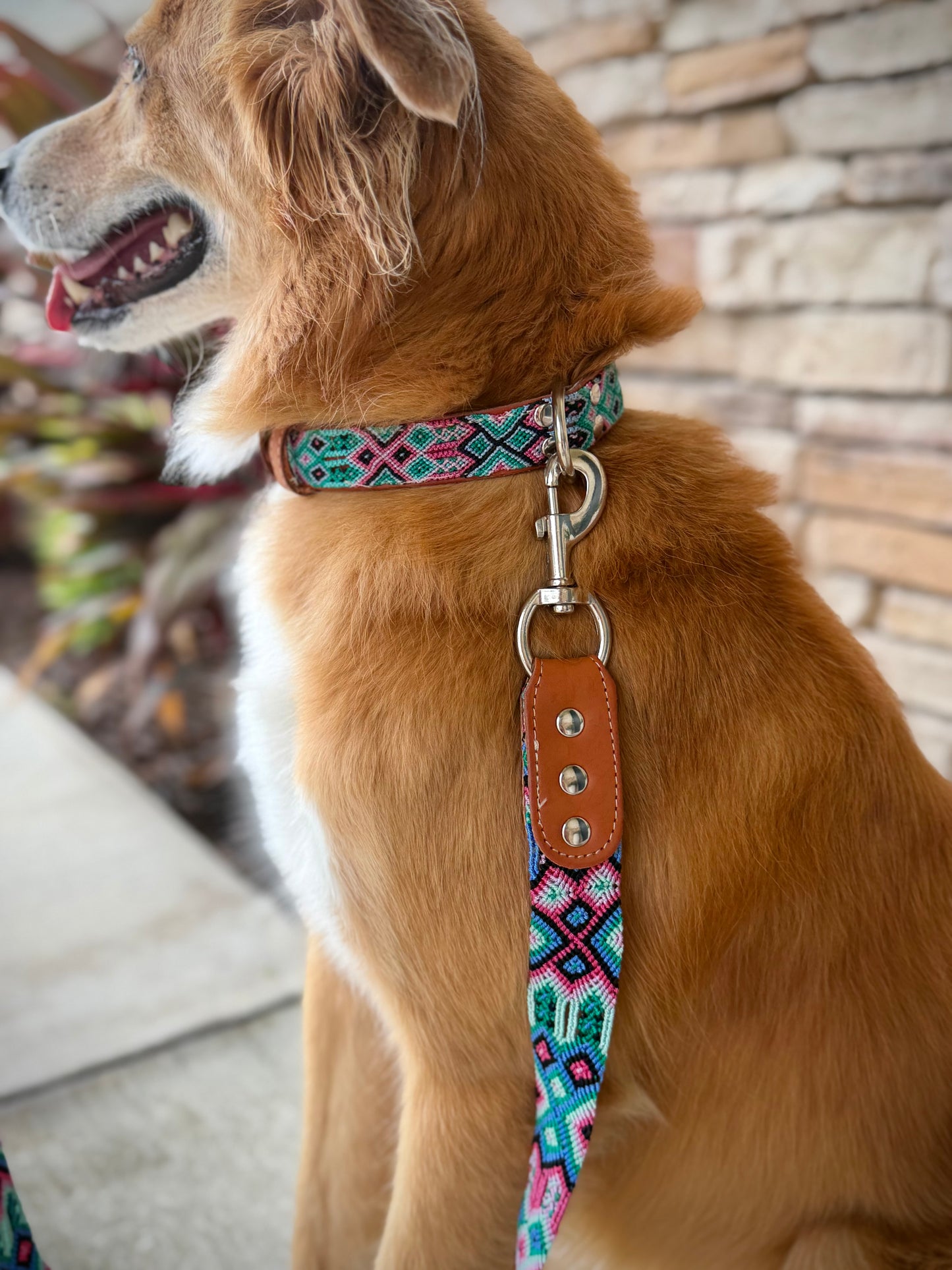 The Ritz Collar