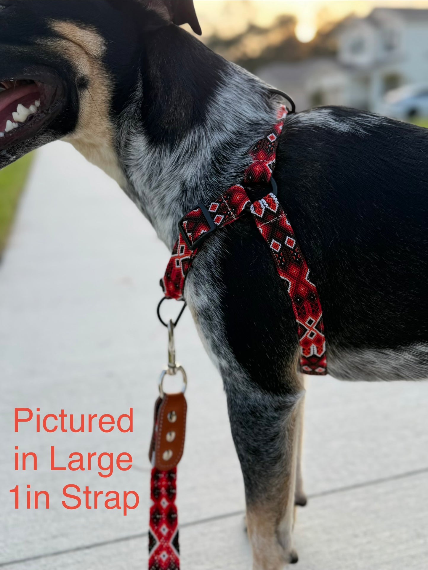 The Heat Harness