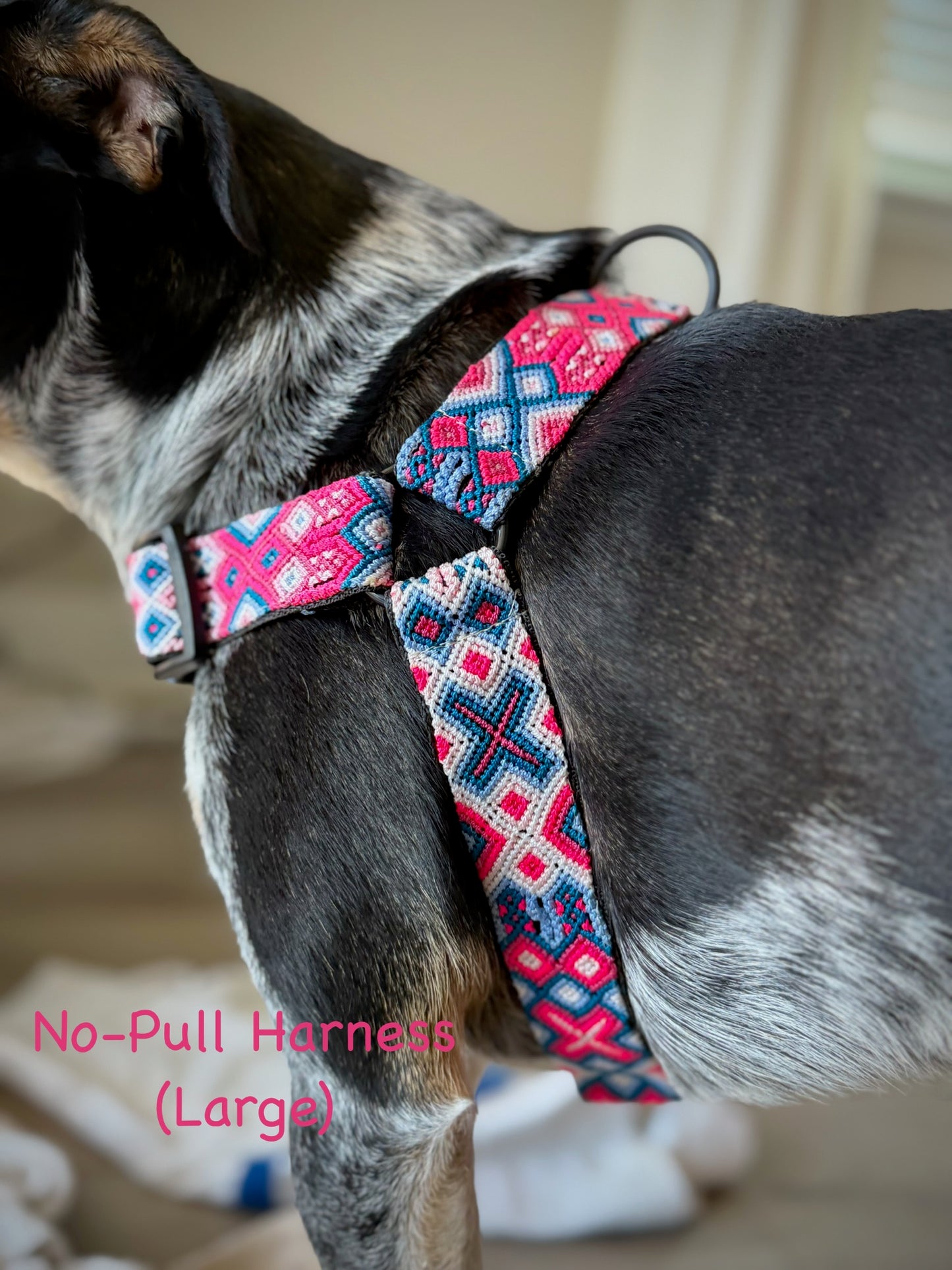 Pretty In Pink Harness