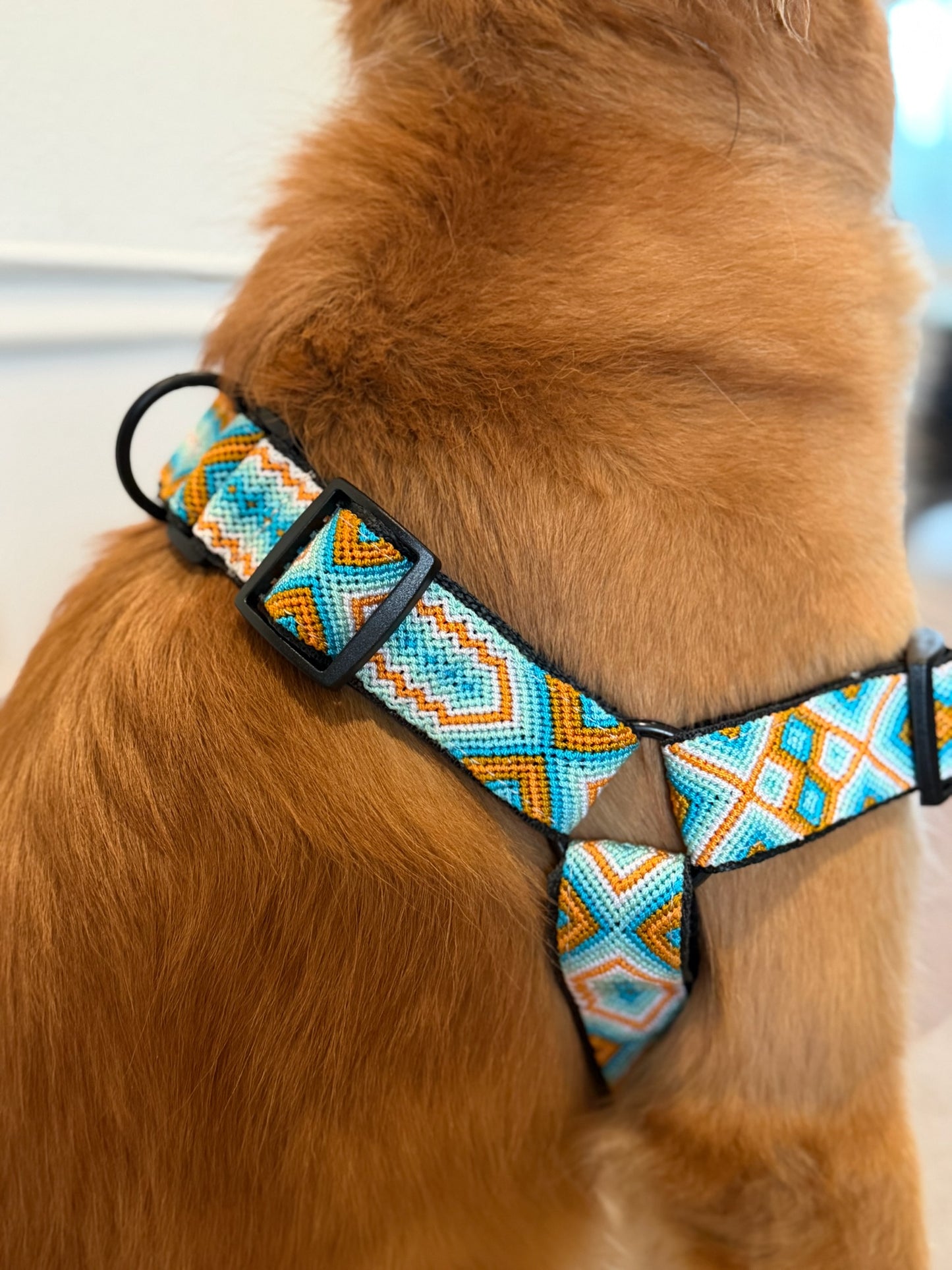 South Beach Harness