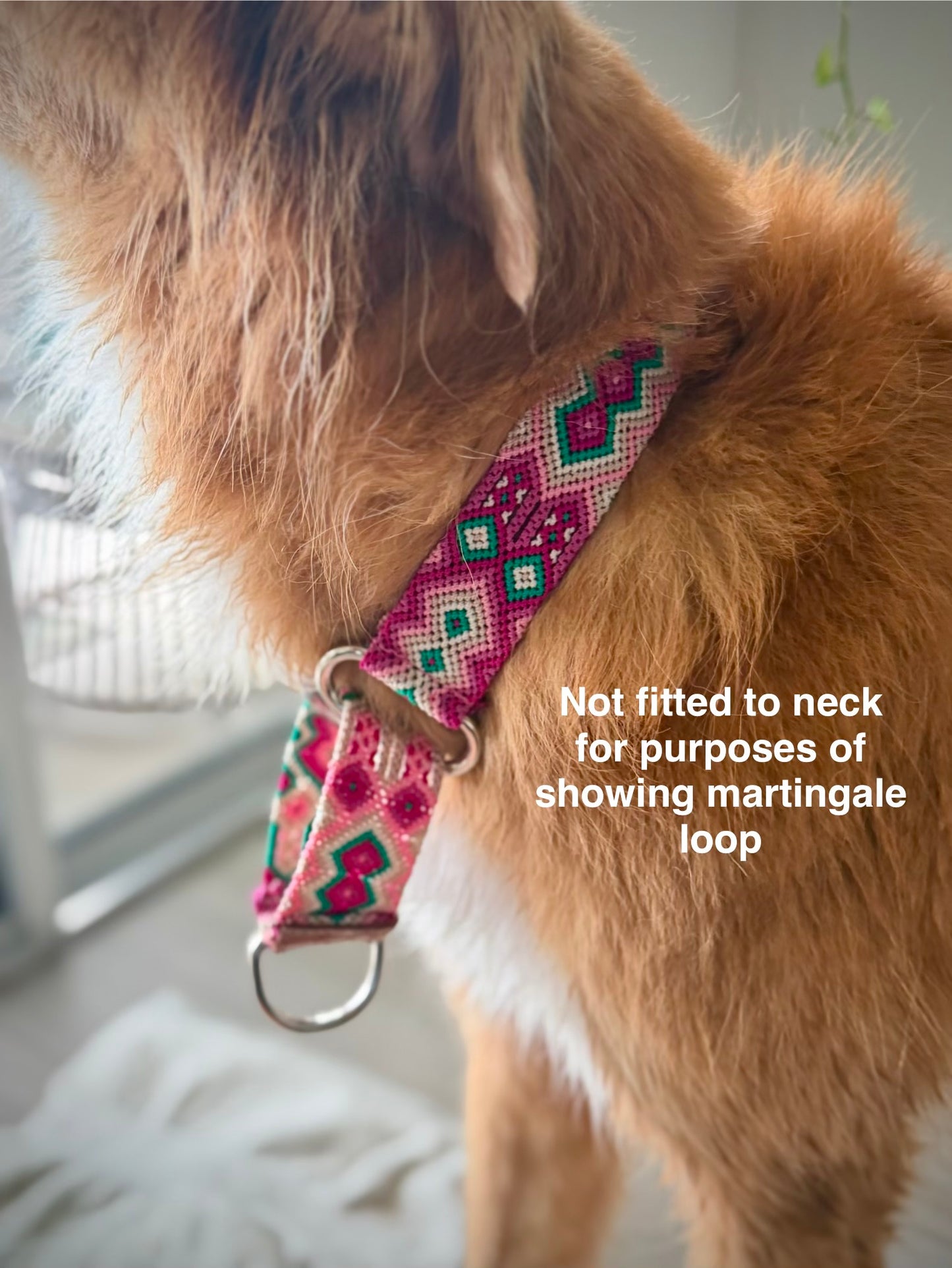 The Palm Martingale Collar