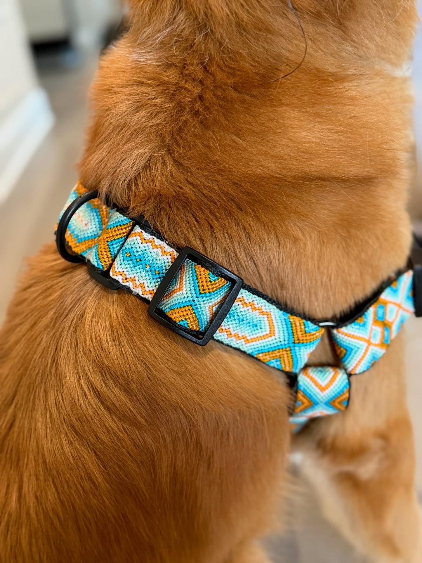 South Beach Harness