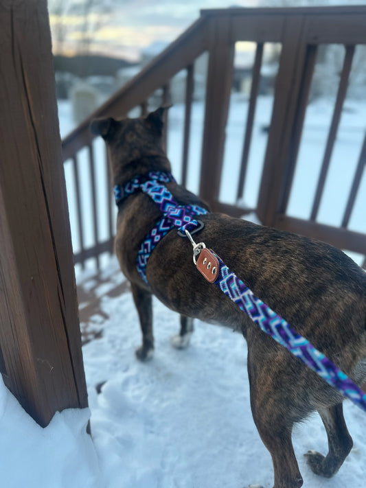 Lucy Harness