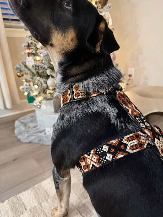 Auggie Harness