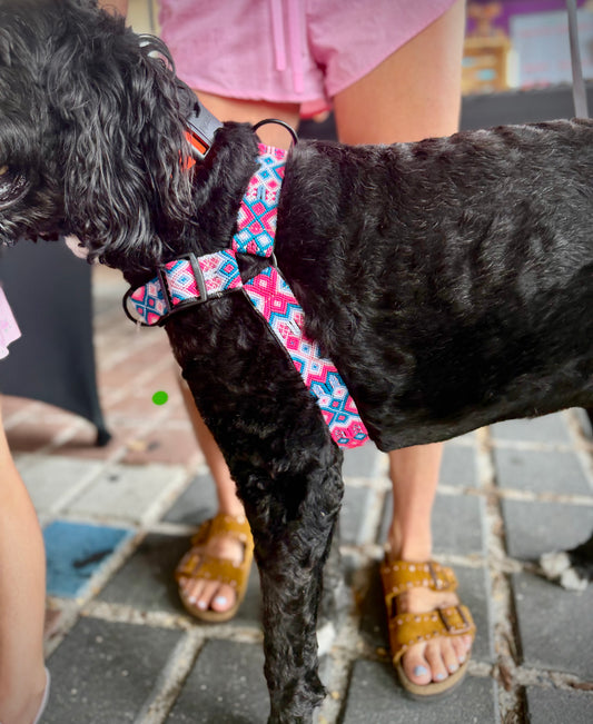 Pretty In Pink Harness