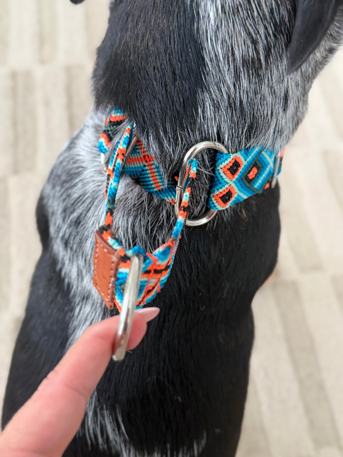 Ziggy Martingale Collar