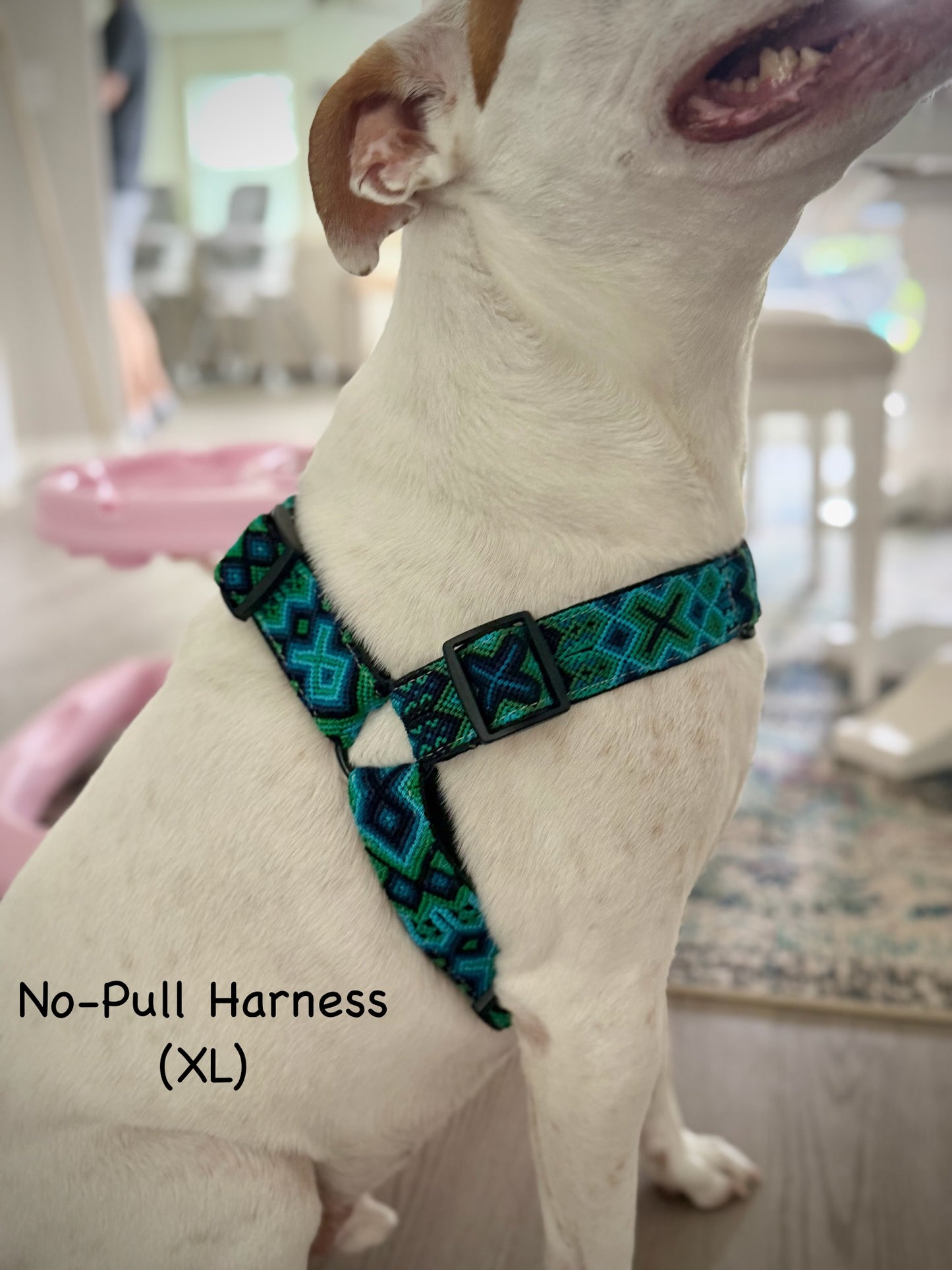 Riptide Harness