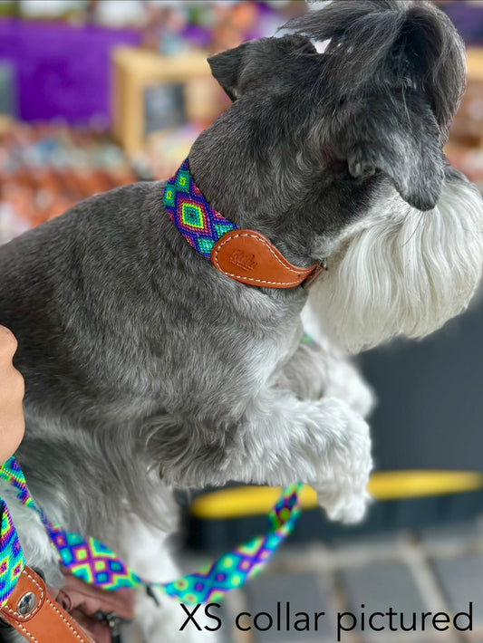 Honolulu Collar