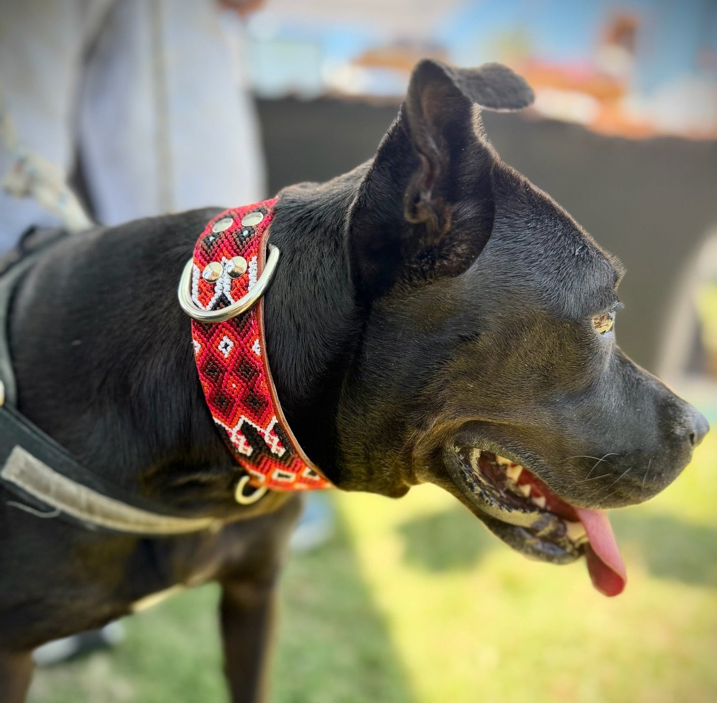 Heat Collar