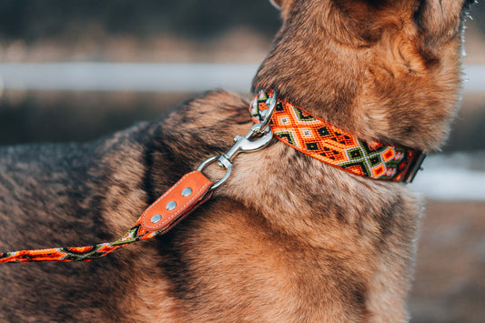 Telluride Collar