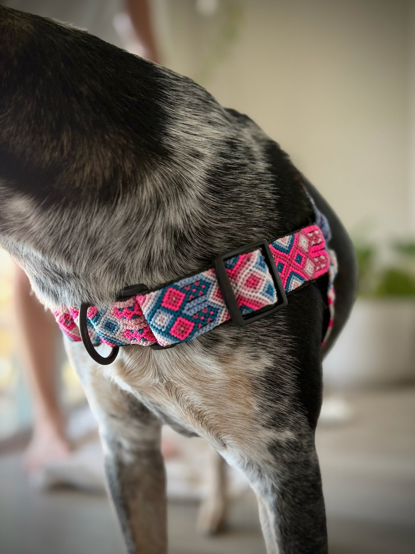 Pretty In Pink Harness
