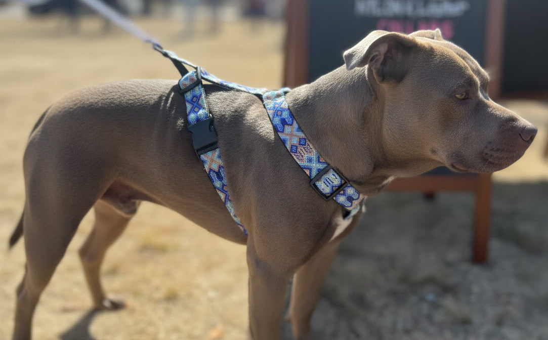 Positano Harness