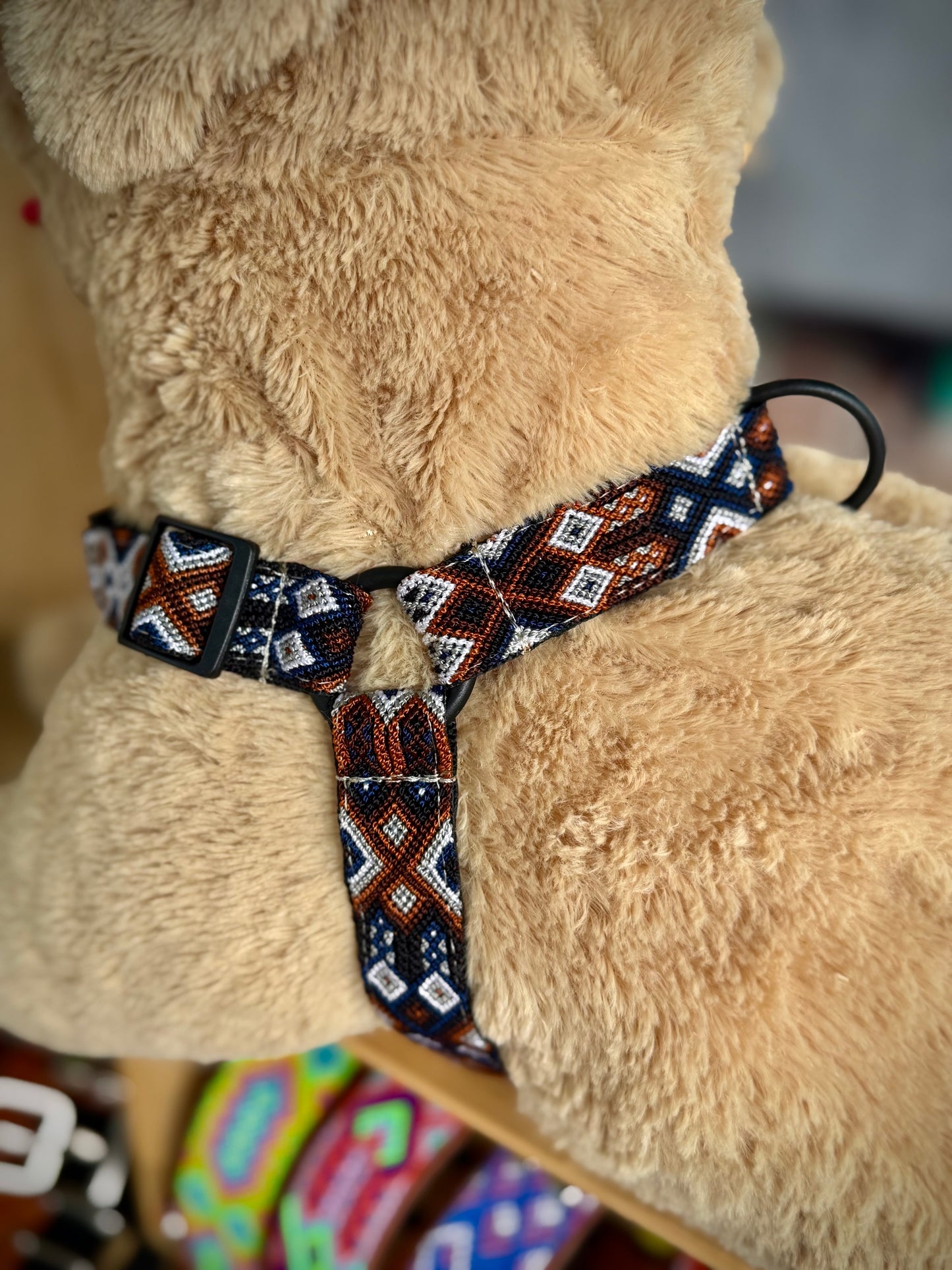 Marco Harness