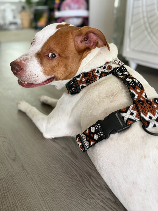 Auggie Harness