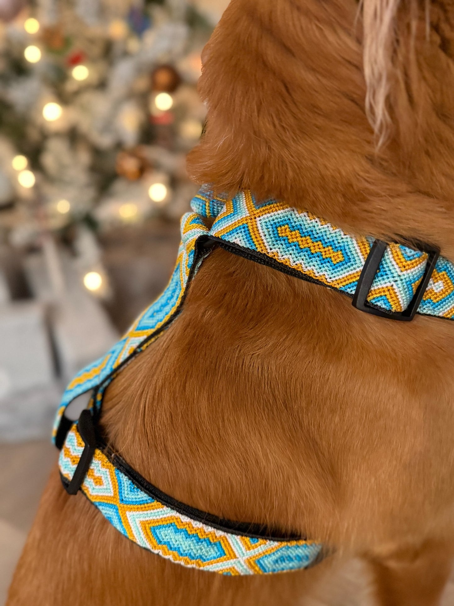 South Beach Harness