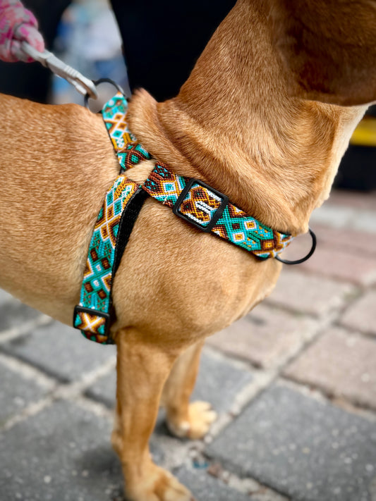 Bruin Harness