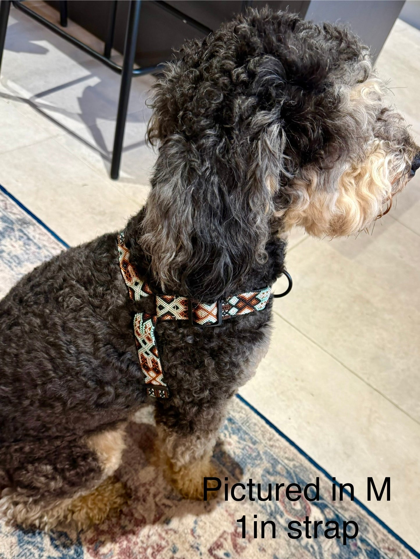 Ohana Harness