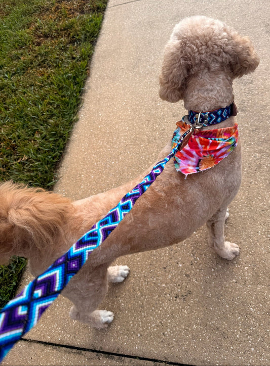 Lucy Leash