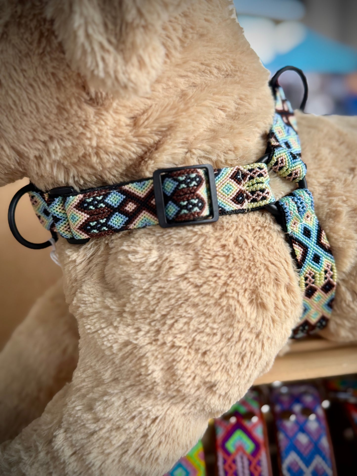 The Ray Harness