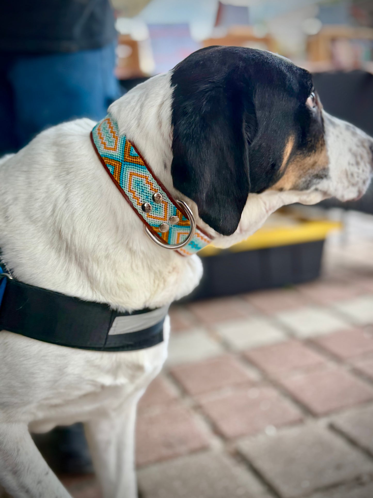 South Beach Collar